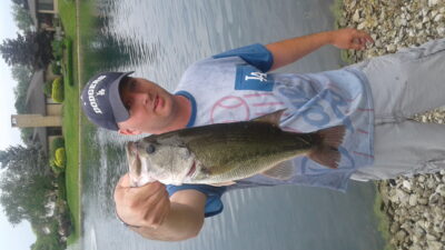 Largemouth Bass, 1,4 kg