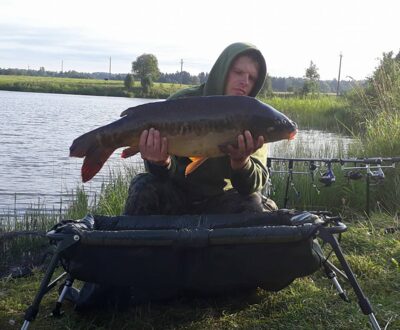 Paprastasis karpis, 13,1 kg