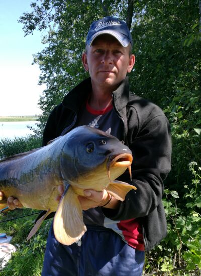 Paprastasis karpis, 7,3 kg