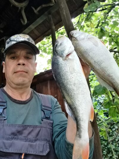 Ešerys, 0,6 kg — Kuršių