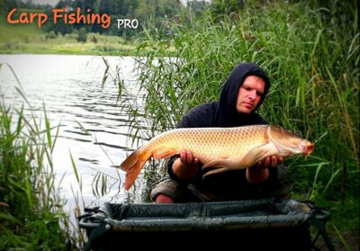 Paprastasis karpis, 11,9 kg