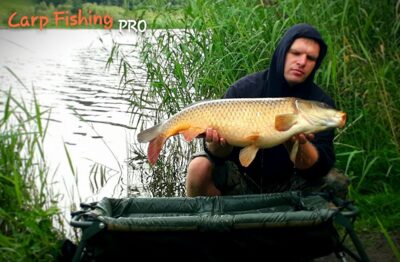 Paprastasis karpis, 12,2 kg