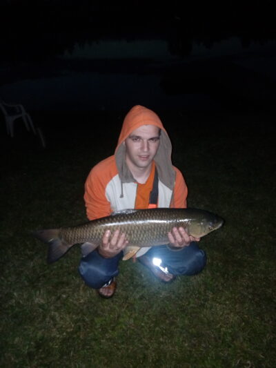 Juodasis amūras, 5,0 kg
