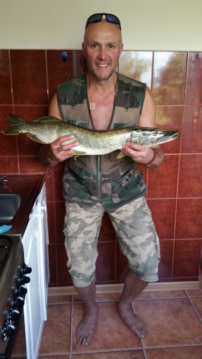 Lydeka, 3,3 kg