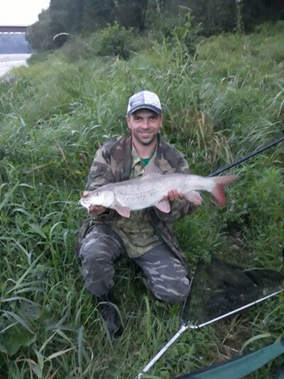 Paprastasis ūsorius, 3,3 kg — Nemunas