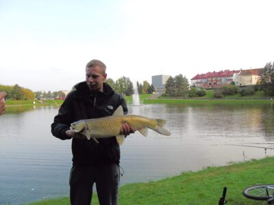 Juodasis amūras, 4,8 kg