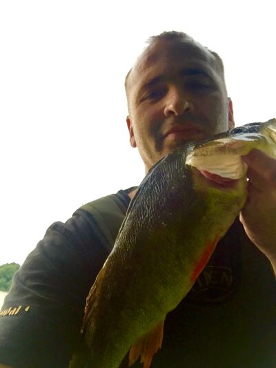 Ešerys, 1,3 kg