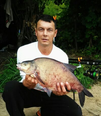 Karšis, 3,1 kg