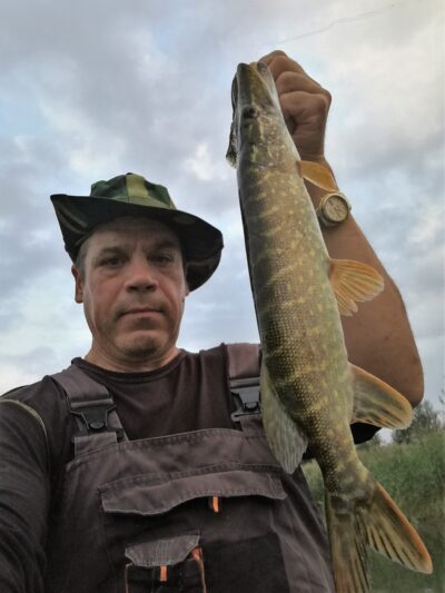 Lydeka, 1,5 kg — Klaipėdos