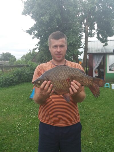 Sidabrinis karosas, 2,9 kg — Krivilių