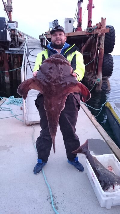 , 10,0 kg — Norvegijos jūra