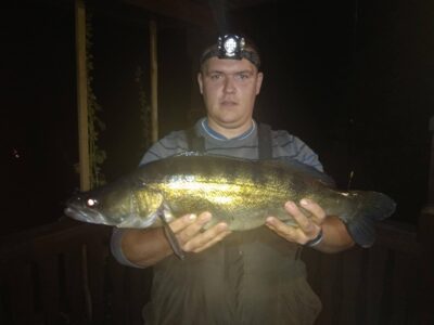 Starkis, 4,0 kg — Paštys