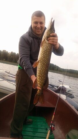 Lydeka, 4,3 kg
