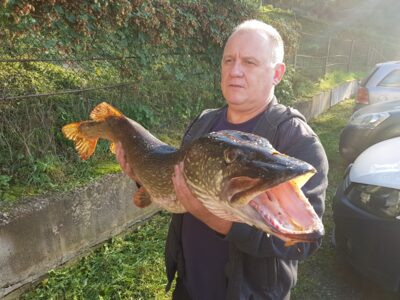 Lydeka, 10,0 kg