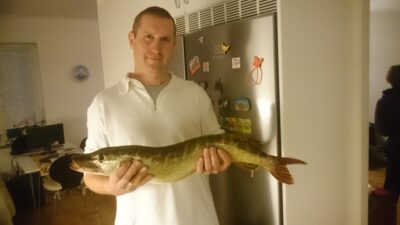 Lydeka, 2,7 kg