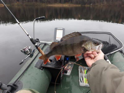 Ešerys, 0,7 kg