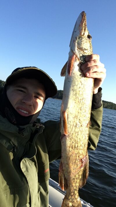 Lydeka, 2,1 kg