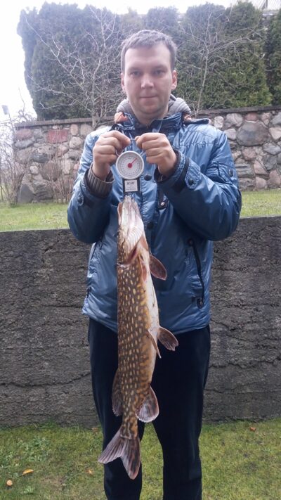 Lydeka, 3,0 kg — Nevėža