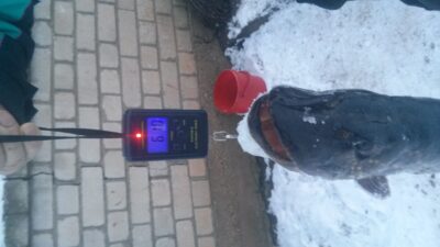 Lydeka, 6,1 kg
