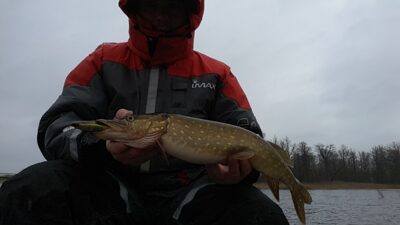 Lydeka — Širvėnos