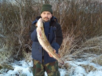 Vėgėlė, 3,3 kg — Nemunas