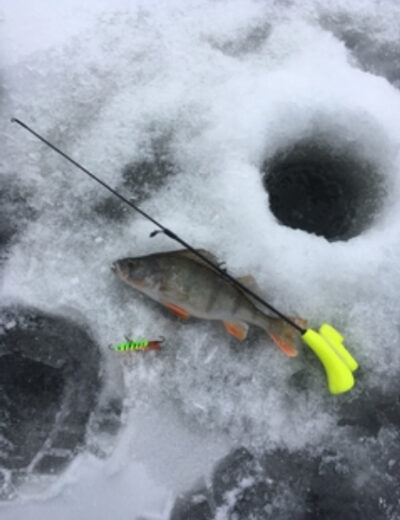 Ešerys, 0,3 kg
