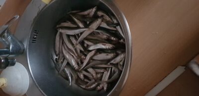 Stinta, 2,2 kg