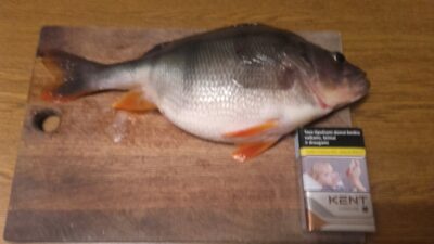 Ešerys, 0,7 kg — Druskonis