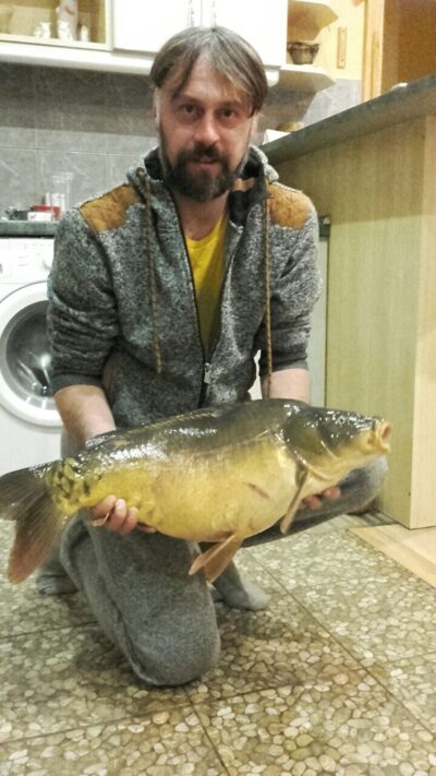 Paprastasis karpis, 7,0 kg — Druskonis