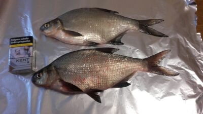 Karšis, 0,5 kg — Vijūnėlės