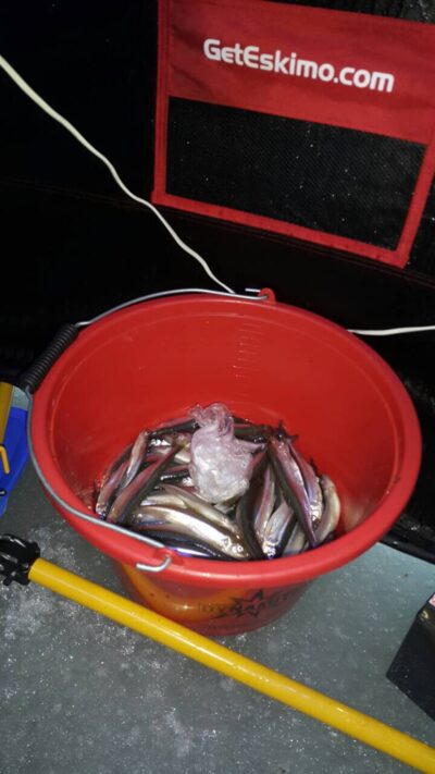 Stinta, 5,0 kg