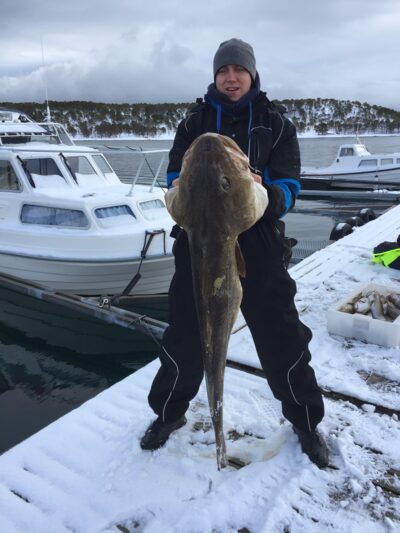 Menkė, 25,0 kg