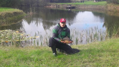 Paprastasis karpis, 1,7 kg