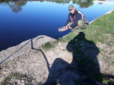 Karšis, 1,3 kg