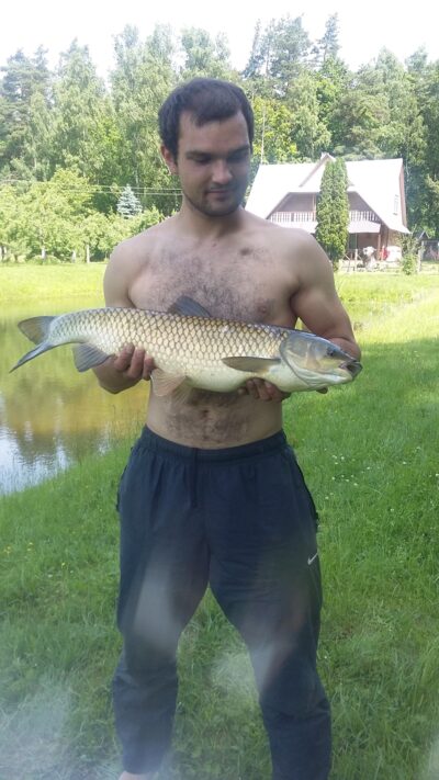 Baltasis plačiakaktis, 6,0 kg