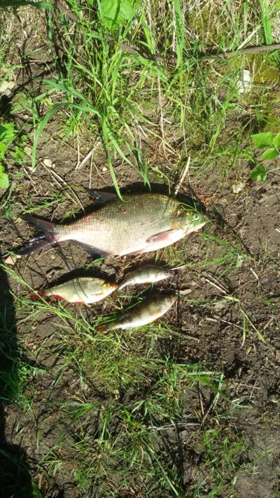 Karšis, 0,7 kg — Ekrano gamyklos