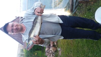 Starkis, 2,0 kg