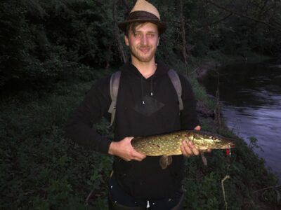 Lydeka, 2,0 kg