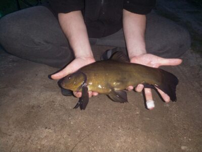 Lynas, 1,0 kg