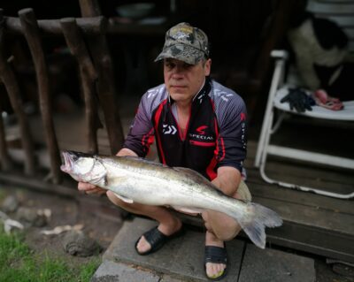 Starkis, 2,7 kg