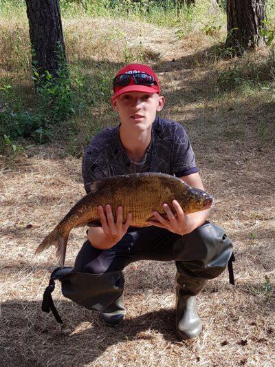 Karšis, 3,6 kg — Glūkas