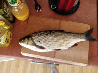 Mekne, 1,3 kg