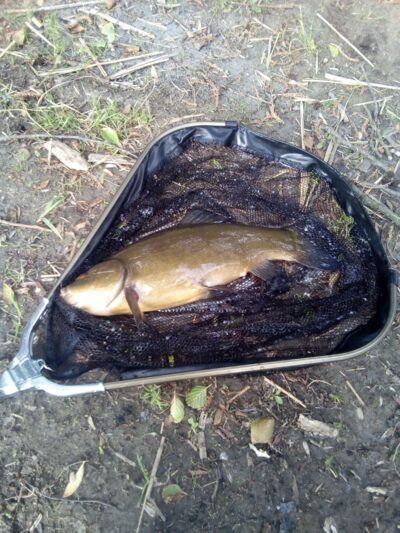 Lynas, 1,8 kg