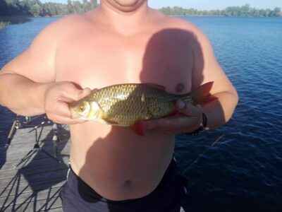 Paprastoji raudė, 0,6 kg