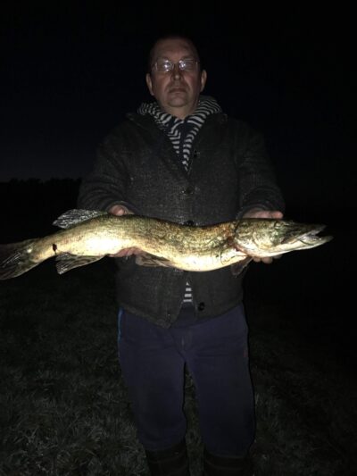 Lydeka, 4,2 kg — Pirdė