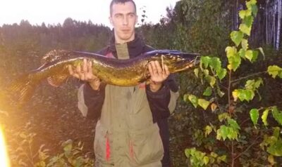 Lydeka, 9,8 kg