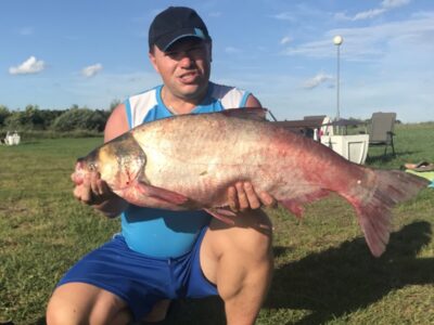 Baltasis plačiakaktis, 7,8 kg