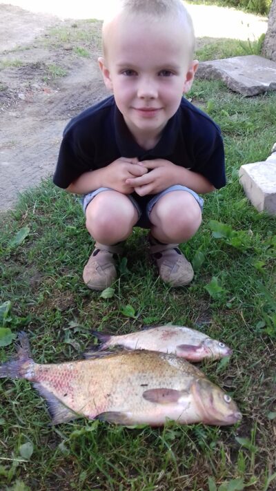 Karšis, 1,7 kg