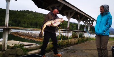 Menkė, 20,0 kg
