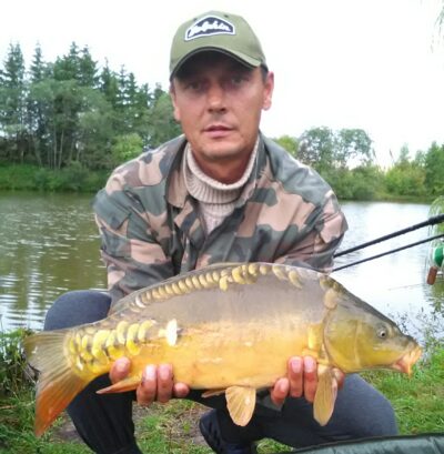 Paprastasis karpis, 5,8 kg